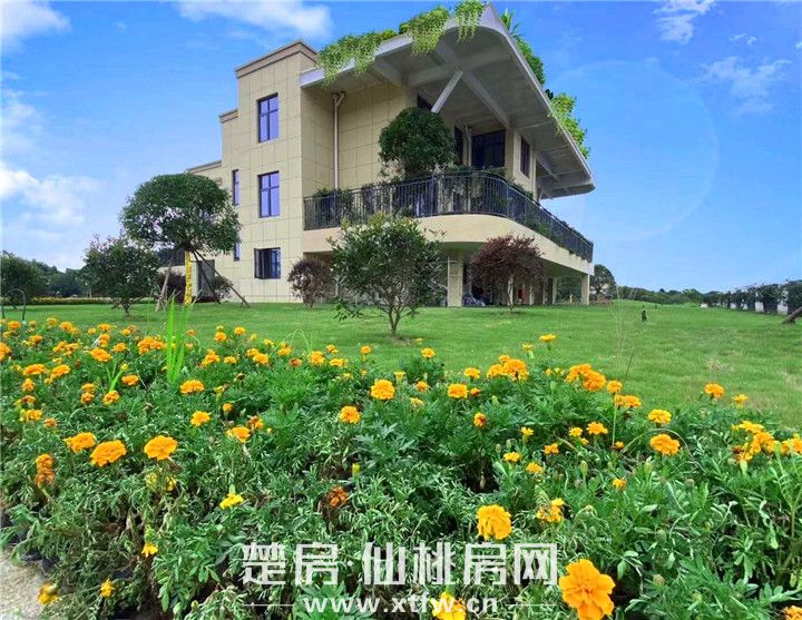 仙桃全新住宅理念来了 “鸟笼高层VS四代住房”你选哪个？