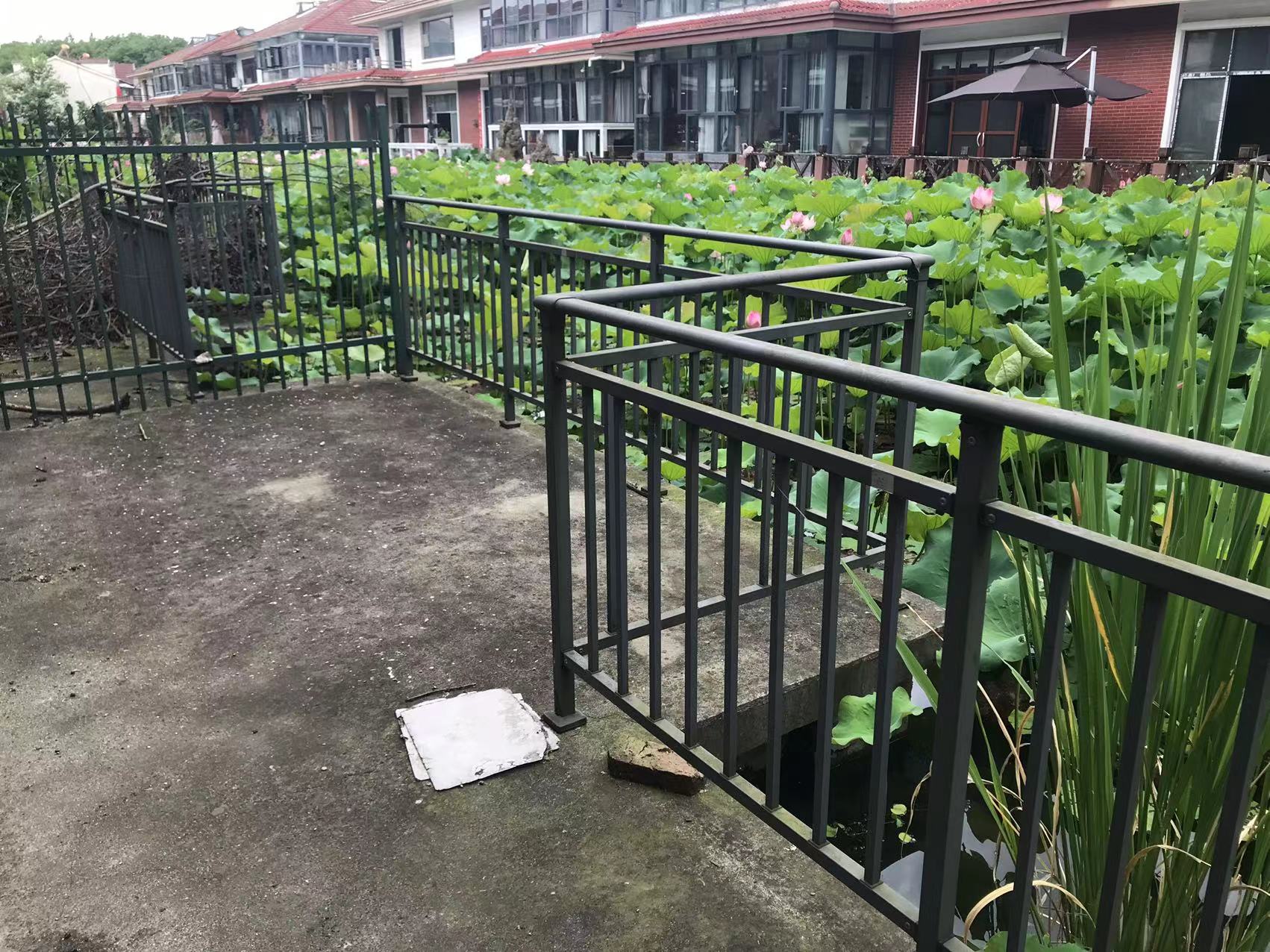 西郊庄园 乡野别墅 乡村花园  联排别墅 一线荷景 种花种菜可养鱼