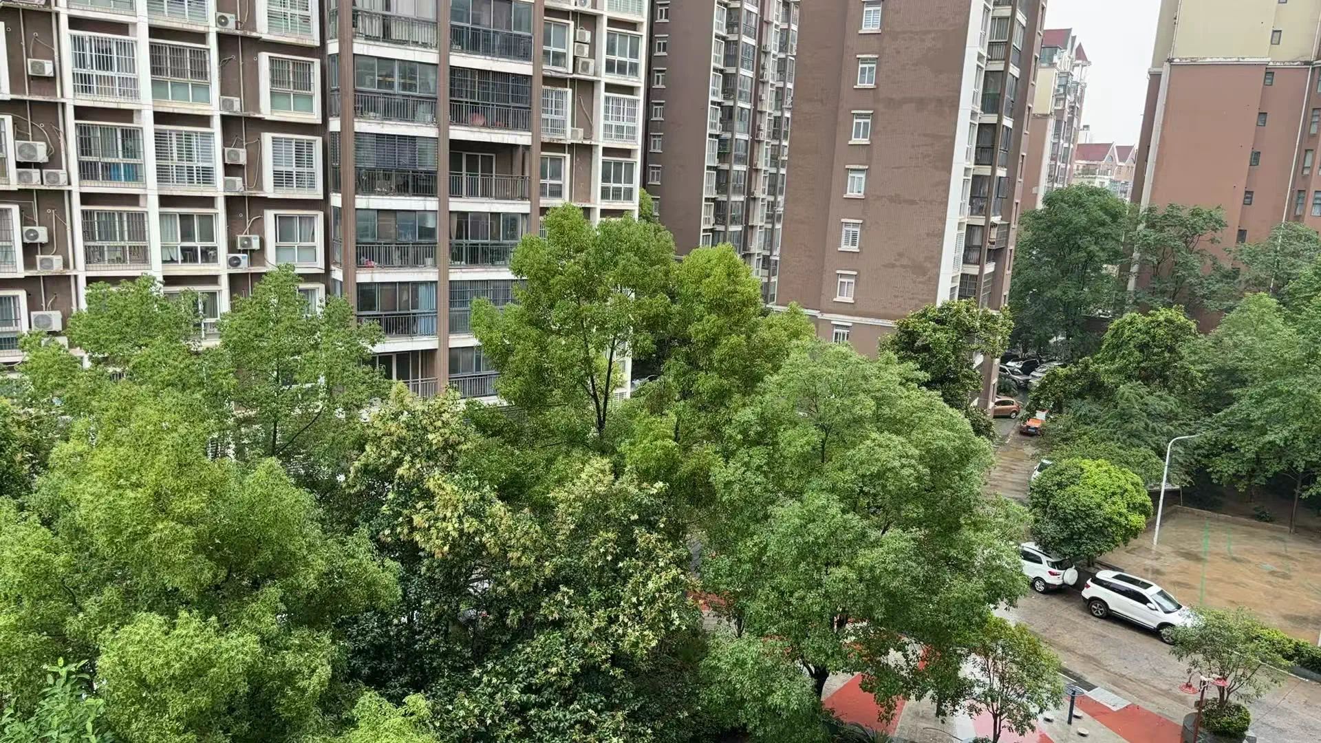 捡漏，亏本出售，香岸华府，1梯1户，小高层，精装三房，证满二