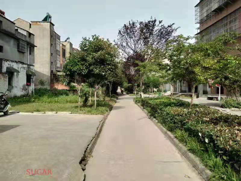 春江花园附近 私房地皮 便宜卖 该地紧邻江边带状公园和幼儿园，距离市武商仙桃购物中不远。后面可停两部小车