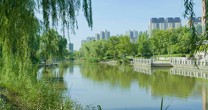 蓝天花园2月工程进度播报中！