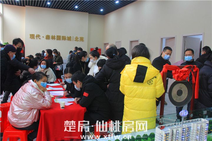 耀世加推丨现代·森林国际城|北苑3#/5#/8#楼实力傲销！