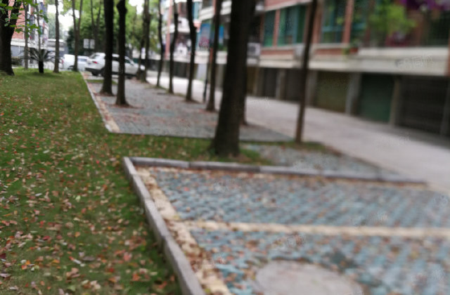 青青家园(仙桃大道53号)3室2厅2卫好楼层边套一梯两户