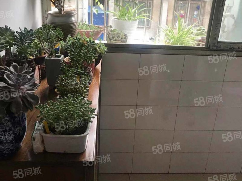  生活配套完善春江花园大三房41万正满2拎包入住有钥匙