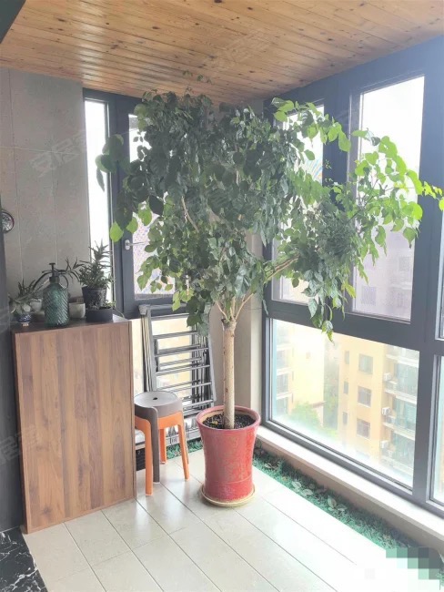 ？急售，城南，新城壹号5期，精装三房两卫，电梯好楼层，证满二，诚心出售