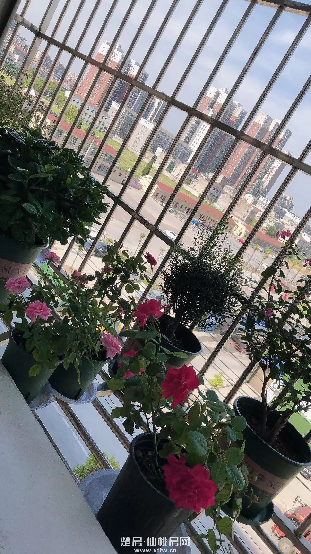 出售临街门面5层私房