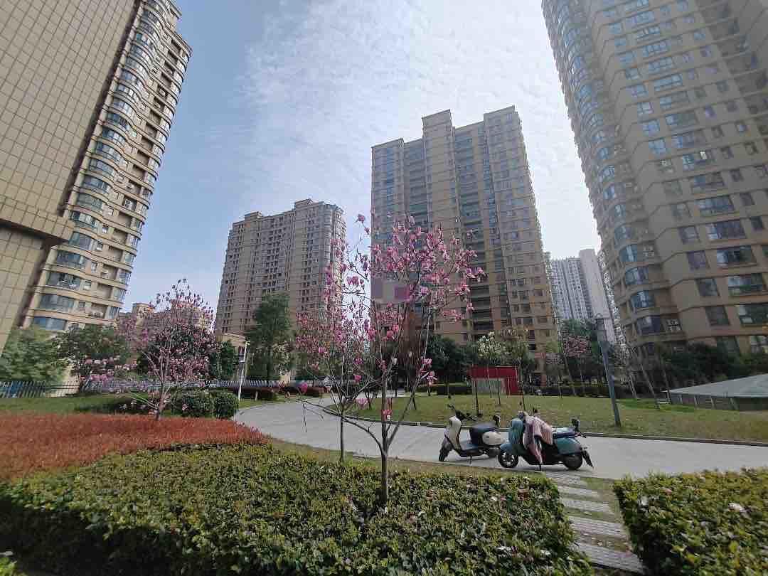 城南沔小旁，颐和公馆，全新精装大四房，送50平花园，带院子，证满二，双阳台