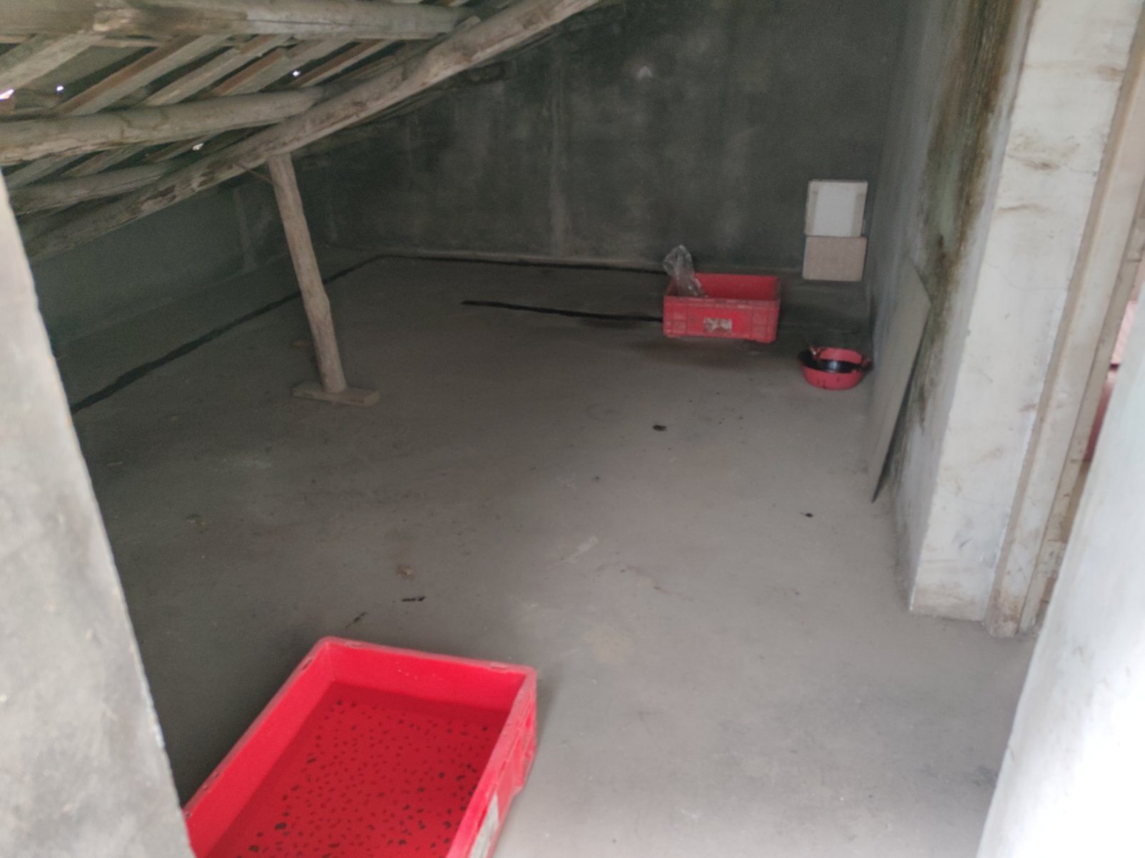 新客运站旁烟草路三层私房，证在手，满二