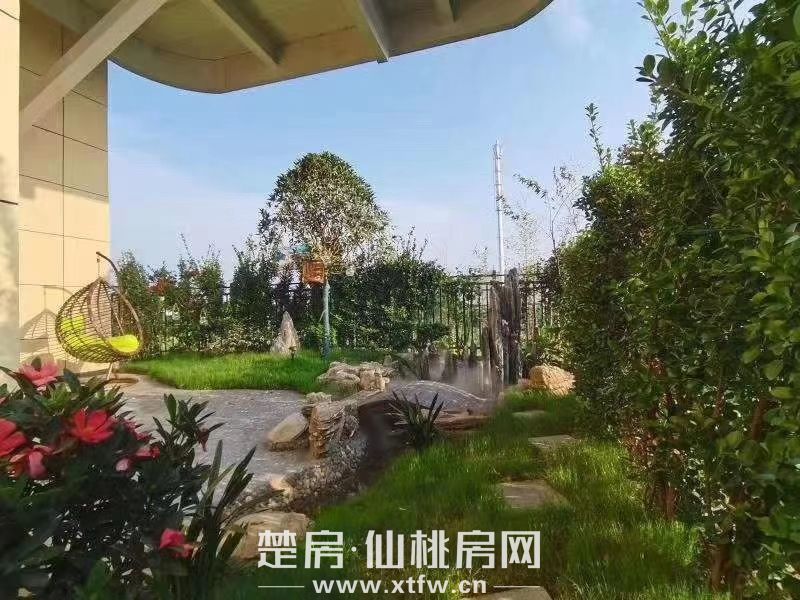 庭院实景