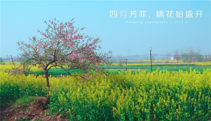 鸿泰·善德华府丨安家优选准现房，暖春置业正当时