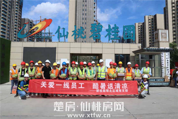 党建+员工关怀 | 碧桂园鄂北区项目工地夏日送清凉活动圆满收官！