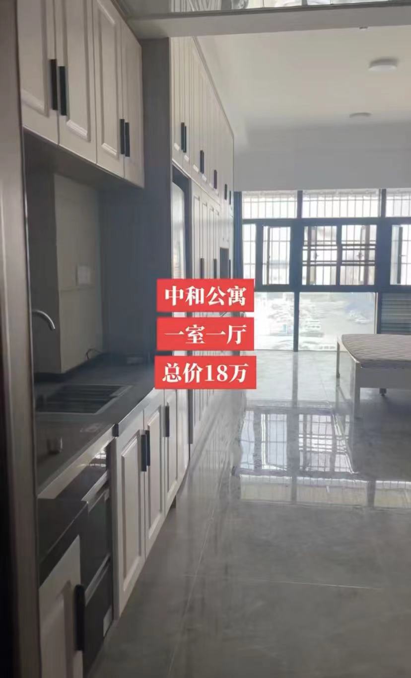 39，满庭春对面，全新装修大一室，电梯好楼层，家具家电齐全