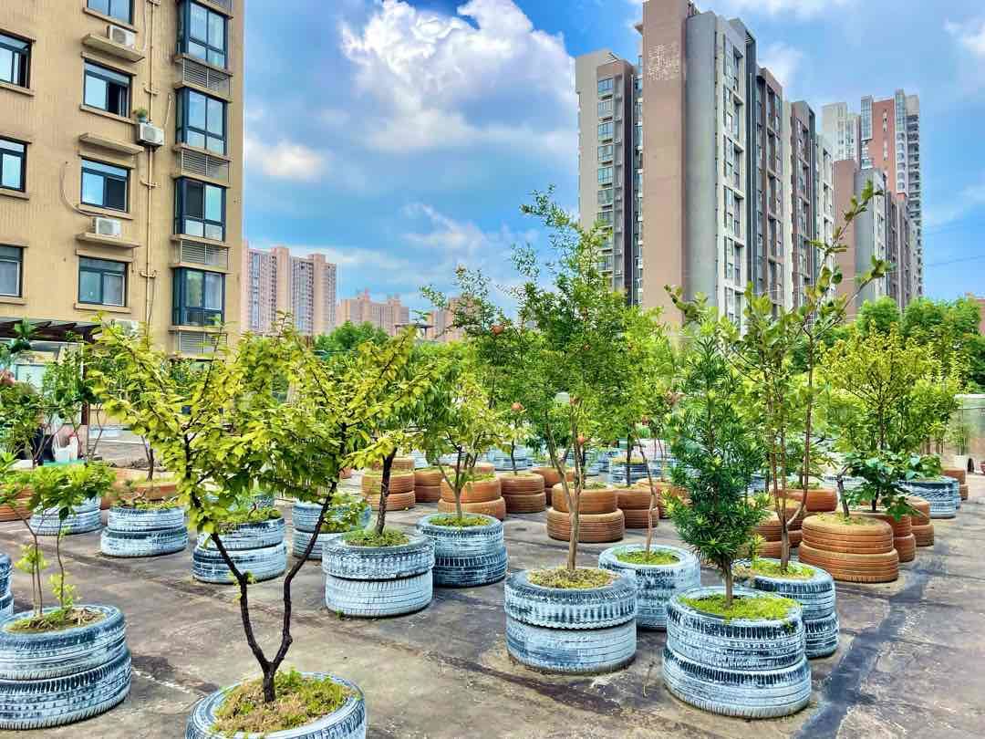 三丰鼎城，小高层，带露台的房子，一口价32.8万，证满二
