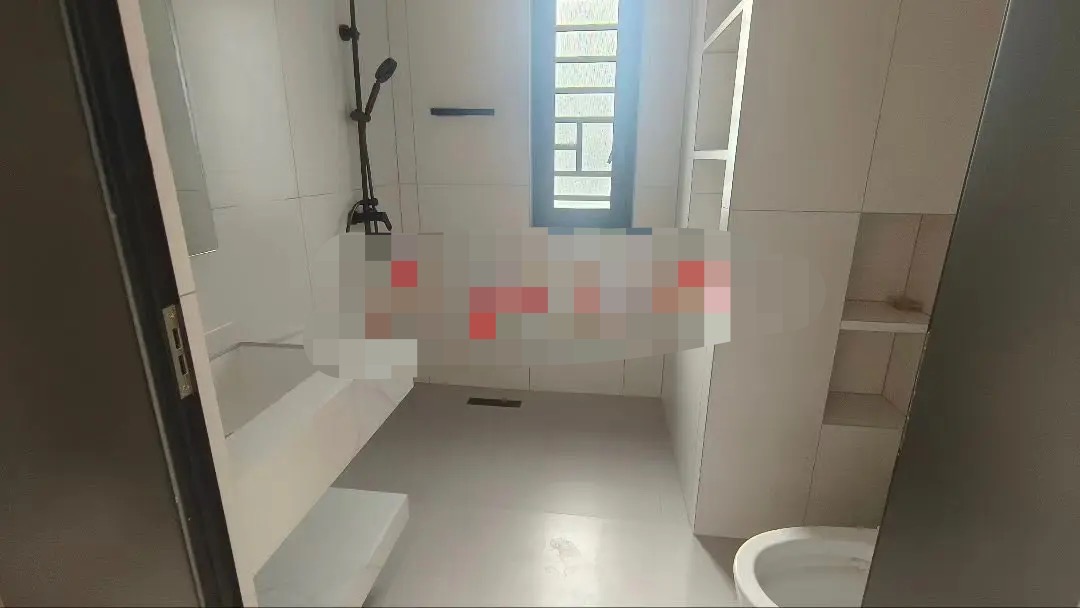 364，城南，元泰未来城C区，豪装复式，实际面积252㎡+30㎡院子，全屋智能语音操控，新风+净水系统，地暖+星空影院房，