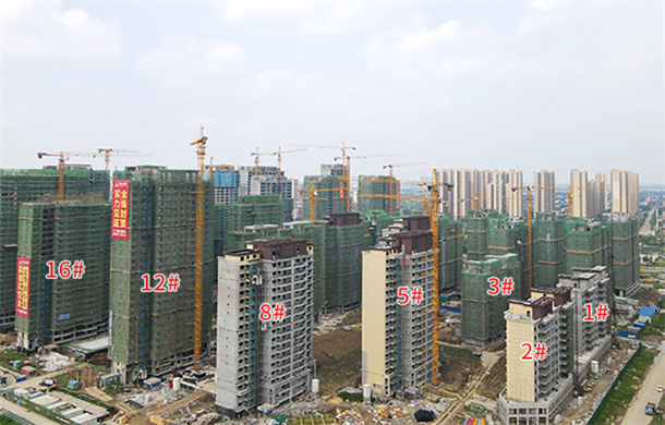 仲夏知绿盛，家音沿风归|朝阳丽景6月工程进度播报