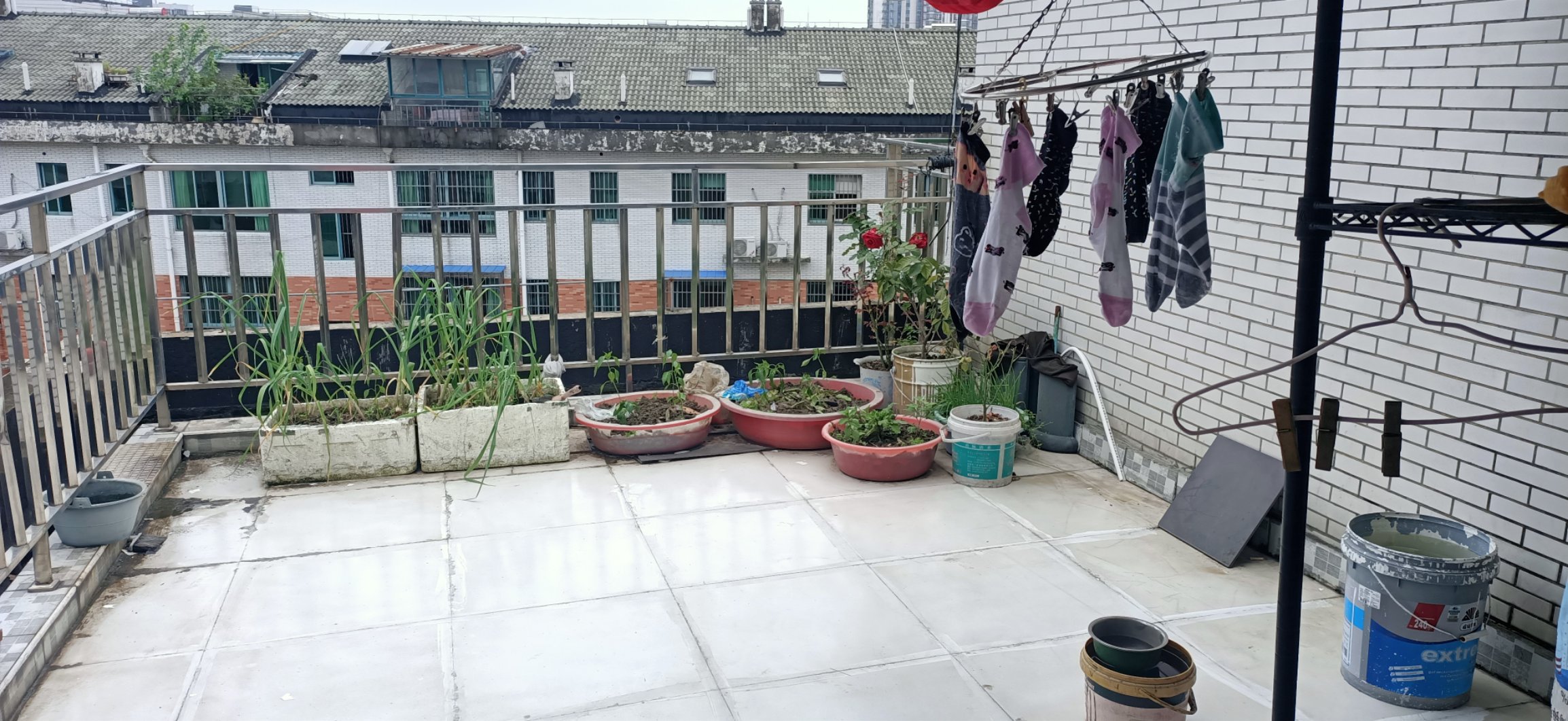 青青家园四期顶楼送超大露台，三室两厅两卫，小区环境好