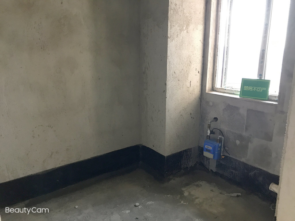 南国明珠，好楼层，毛坯四开间朝南，南北通透，，视野好采光好看房方便