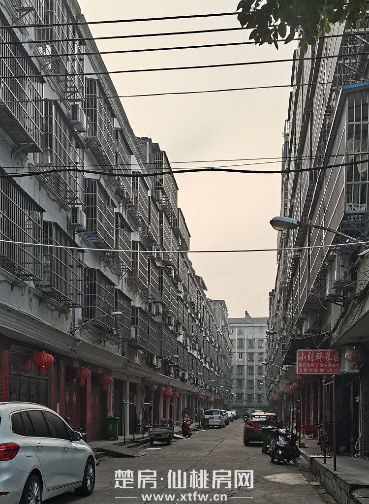 职业学院对面私房出售