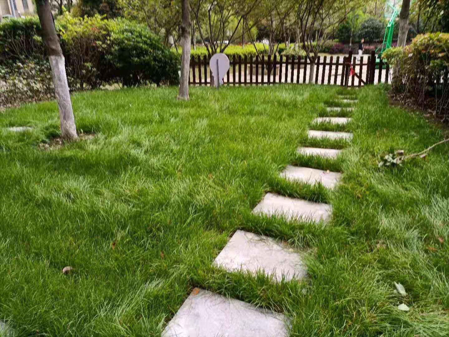 元泰未来城A区，证以下，新三中旁边环境好周边设施方便