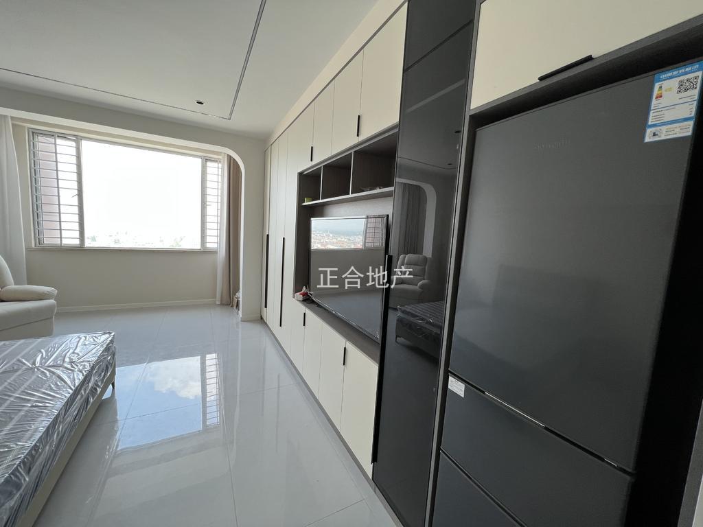 纽芬兰电梯好楼层，精装一室一厅，单身好房，拎包入住，手付1万，成色新，证满二