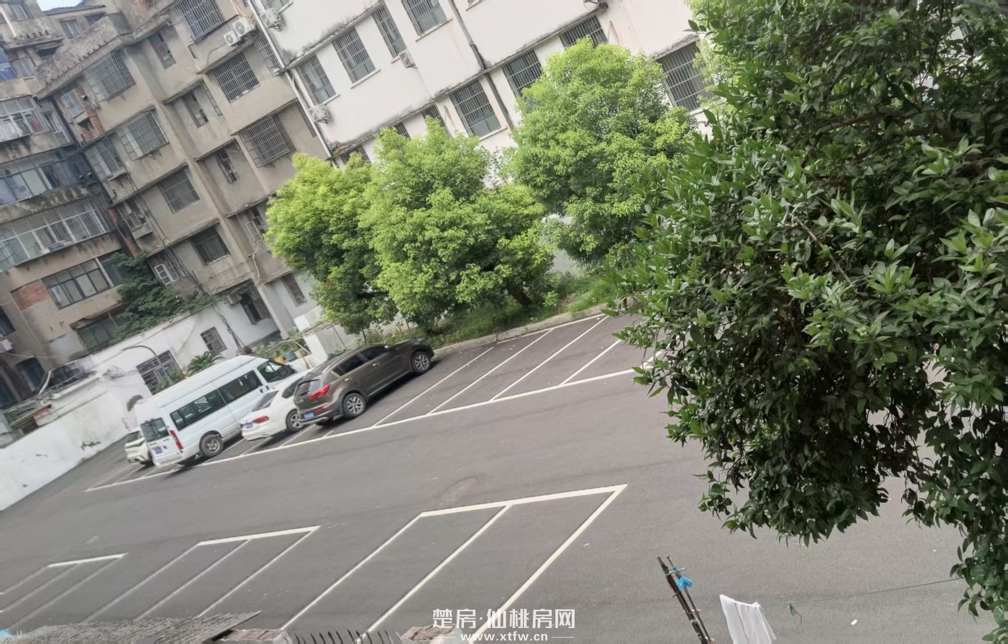 仙桃实验一小边房屋出售
