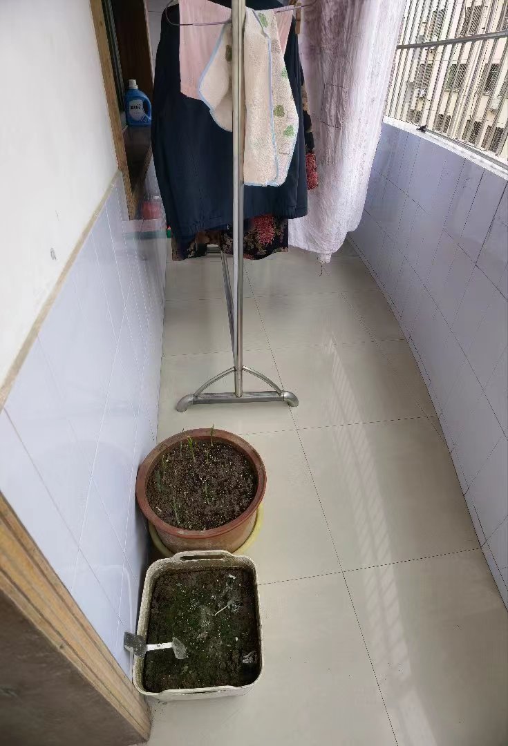 德政园枫丹苑.精装三房.证件满二.看房约