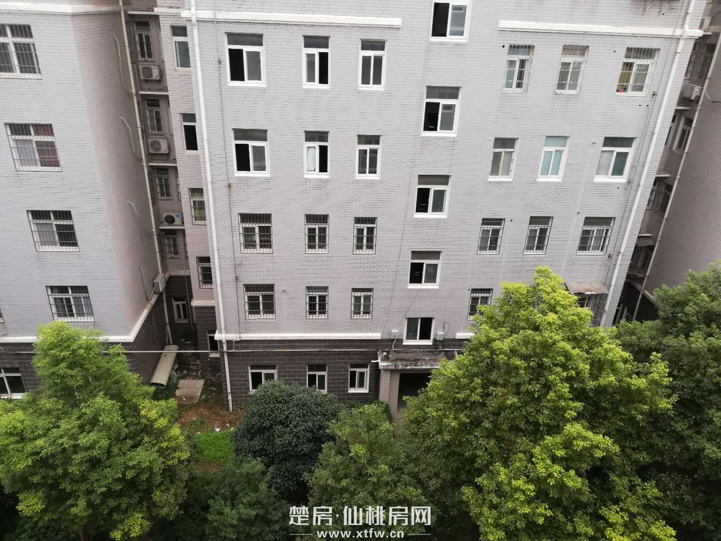 仙北 南北通透医院宿舍毛坯房出售