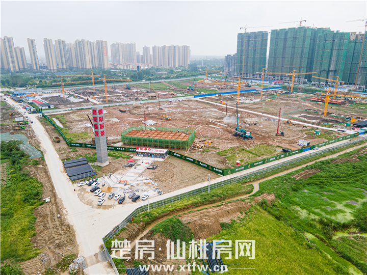 焕新美好 呈幸福家音|朝阳丽景8月工程进度播报