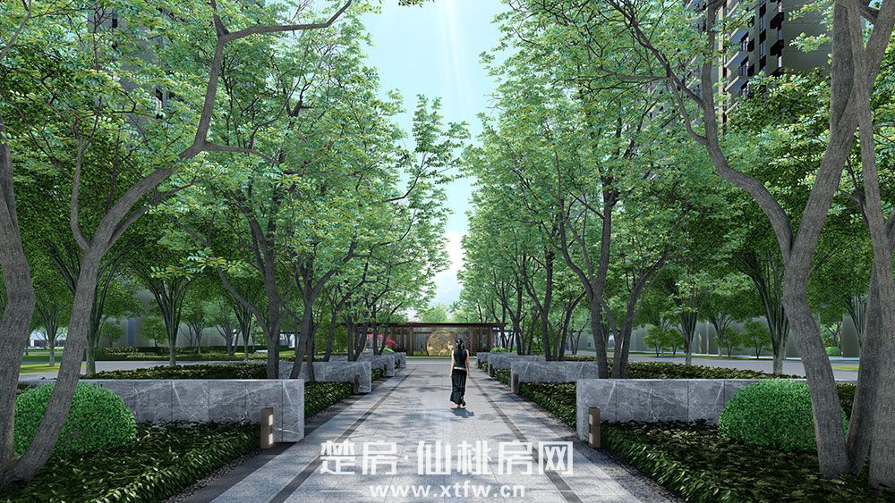 朝阳丽景景观效果图