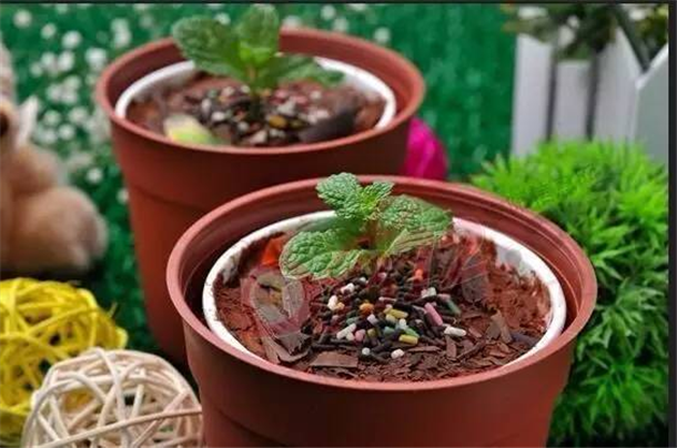 冰凉一夏， 交投·满庭春体验舌尖上的夏日凉爽