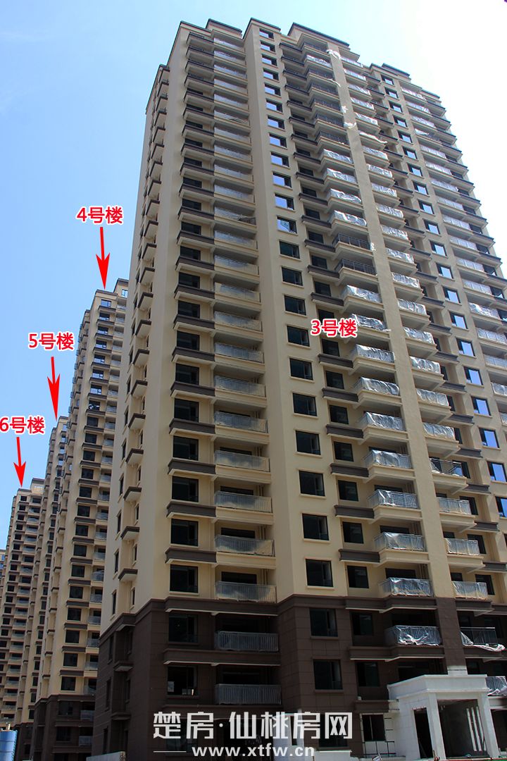 荣怀•及第世家|伏暑初见，家期渐至