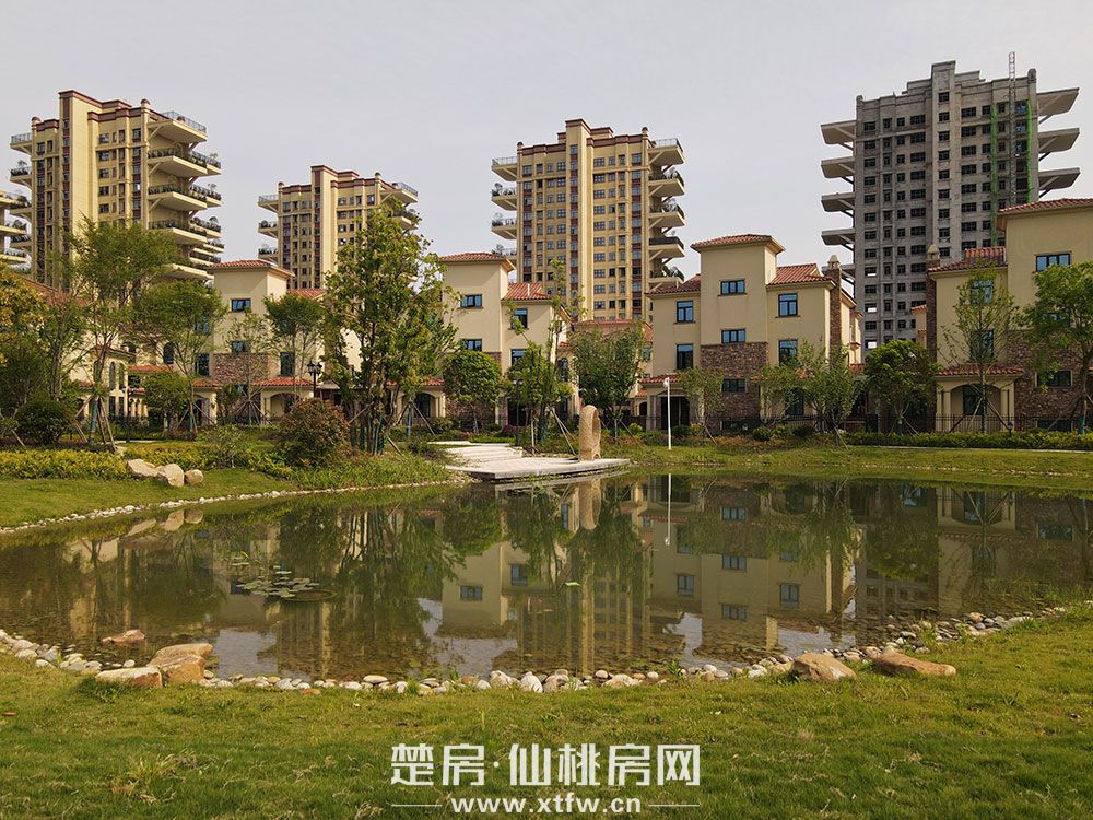 实景