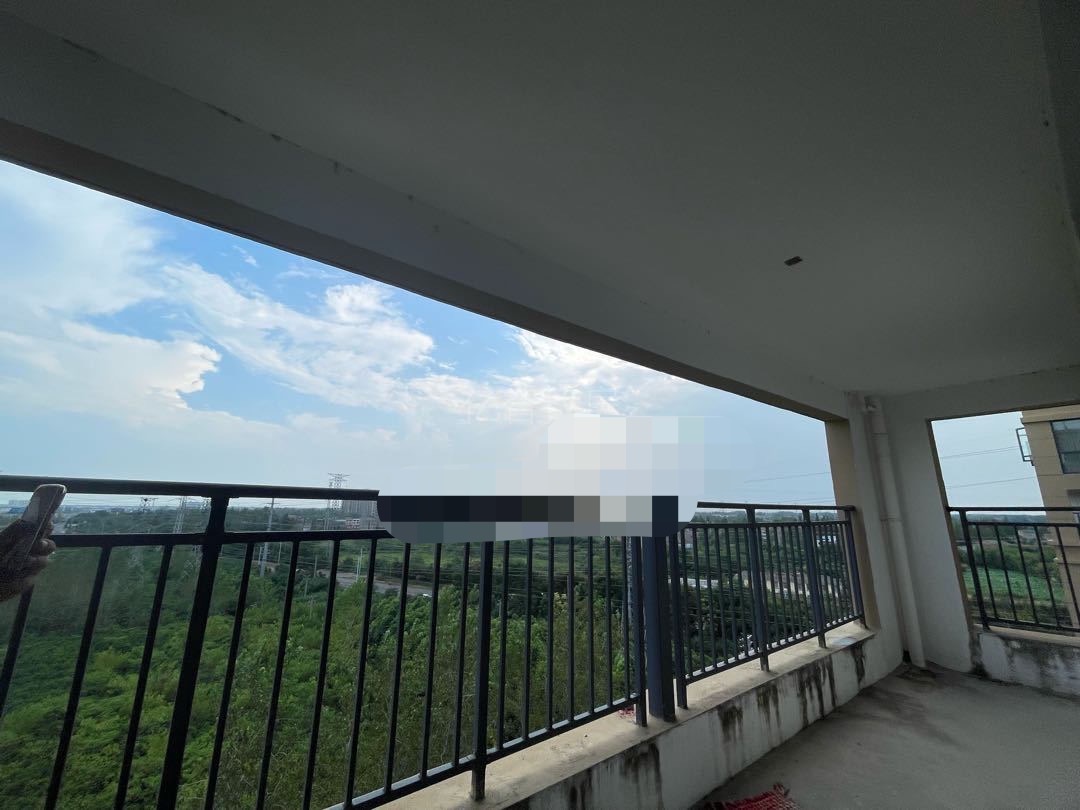 290，捡漏，交投洋房，单价3700，3房2厅2卫，拼手速，南边无遮挡，采光视野YYDS，证满二