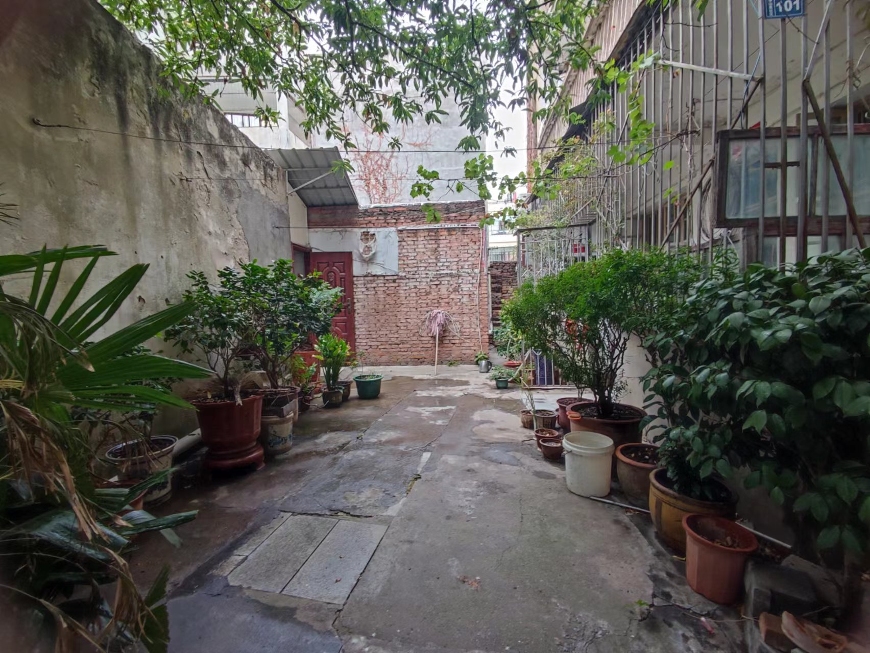 物质局宿舍 一楼 3房 有院子 不动产证在手 看法方便