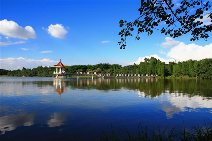 第四代住宅，在家也能 “ 春游 ”！