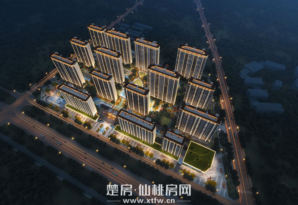 总体鸟瞰图夜景图