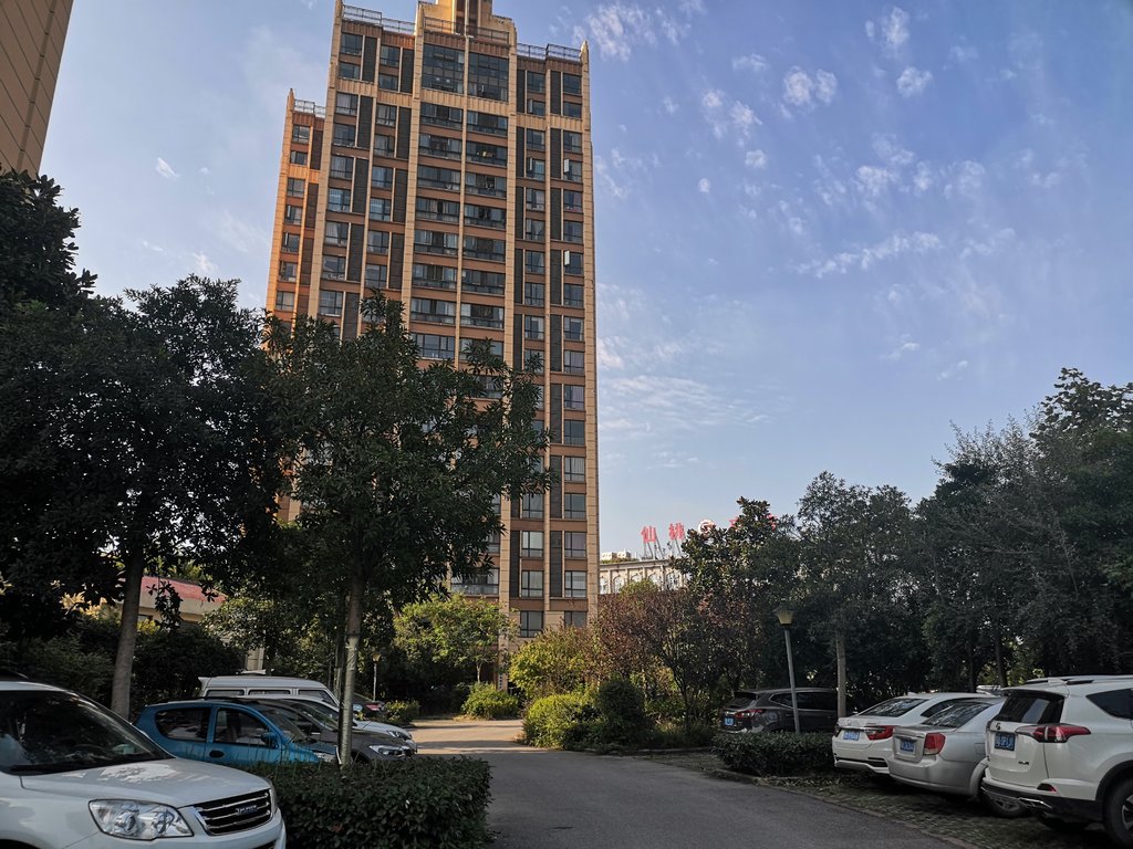 城东绿洲新城电梯毛坯大三房多功能户型证满二