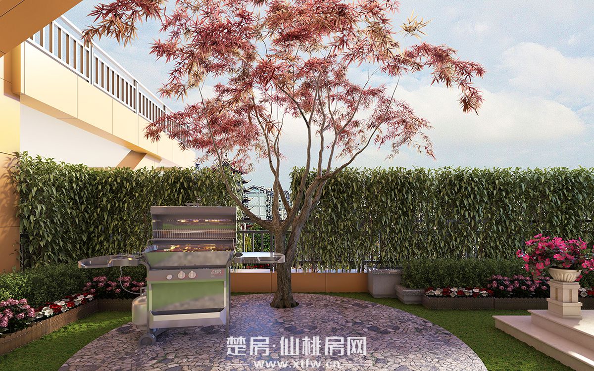 庭院效果图