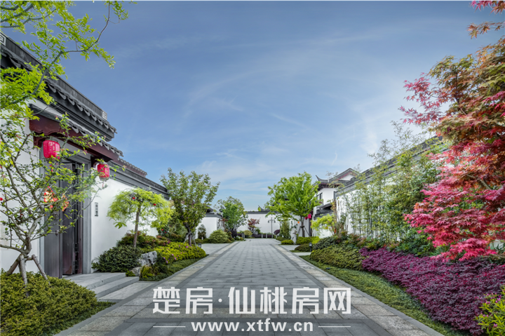 沔阳小镇·雲野梦田|一席中式合院，围合菁英人士所向