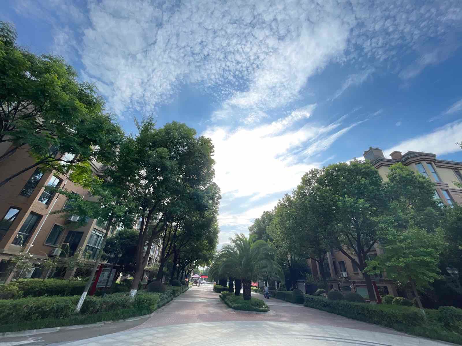 绿地华庭康城别墅204平5室6厅3卫南北通透豪装私家车位证满二年