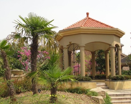 仙桃市实验四小旁边门面