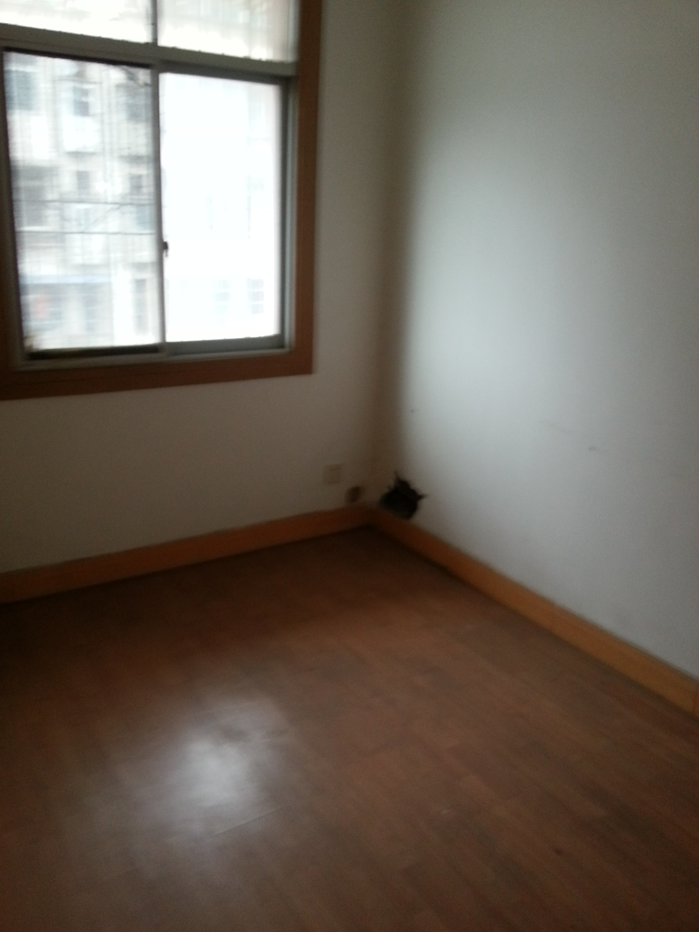 西桥交通路 对面机关宿舍楼