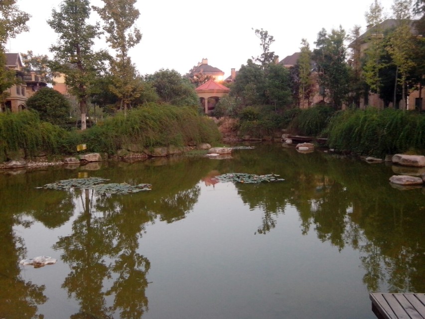 城南新区两房两厅93平一口价3088