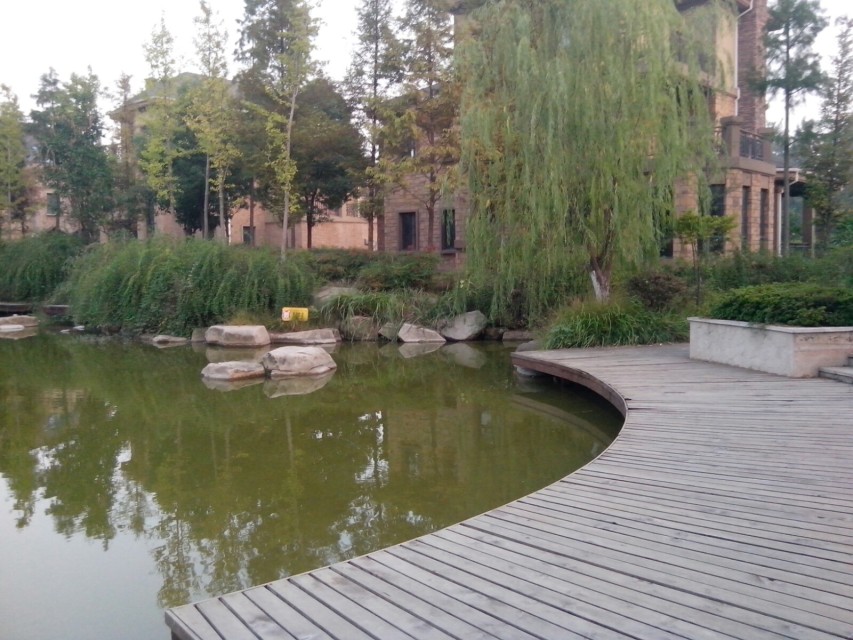 城南新区两房两厅93平一口价3088