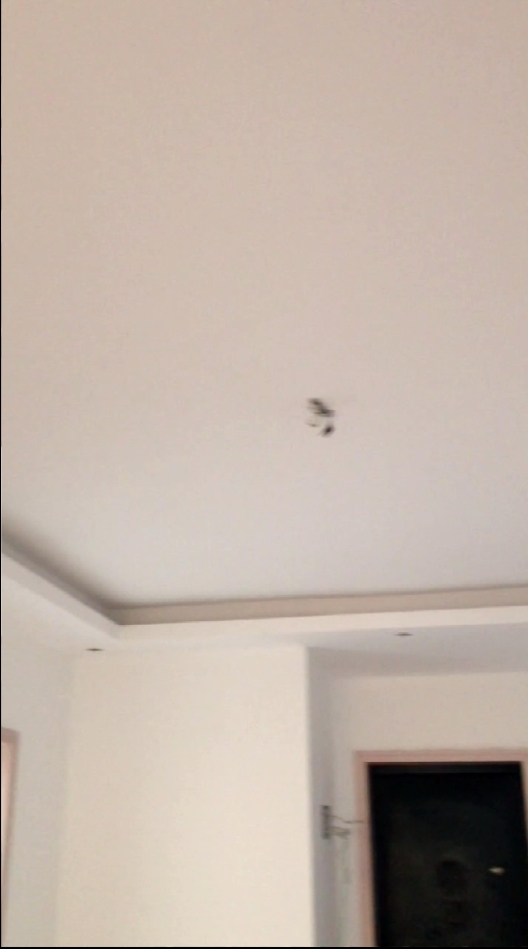 东城国际后面东城花园对面,四中复读中心附近.