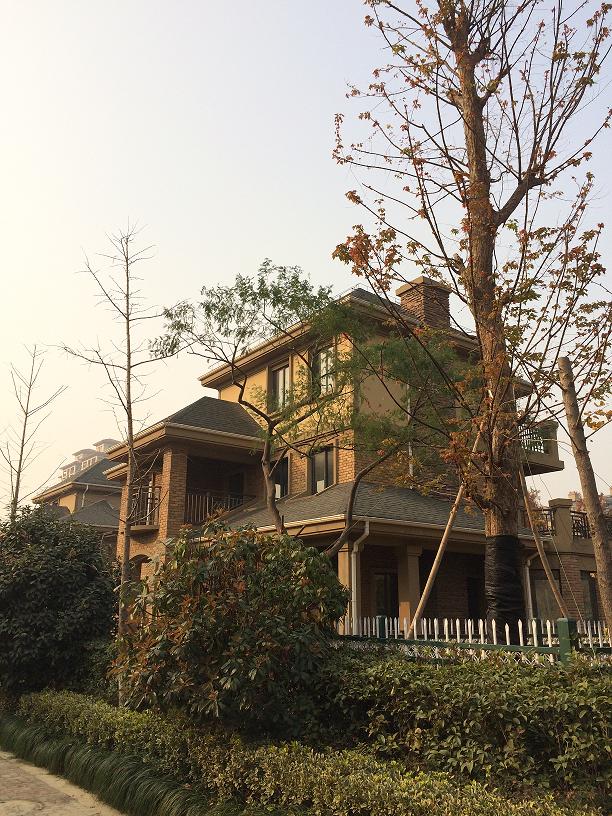 仙桃绿地华庭独栋别墅楼王出售