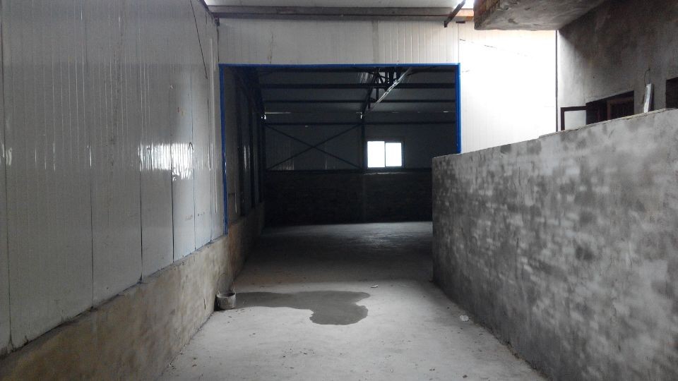 车站附近杜柳村一组黄金大道旁