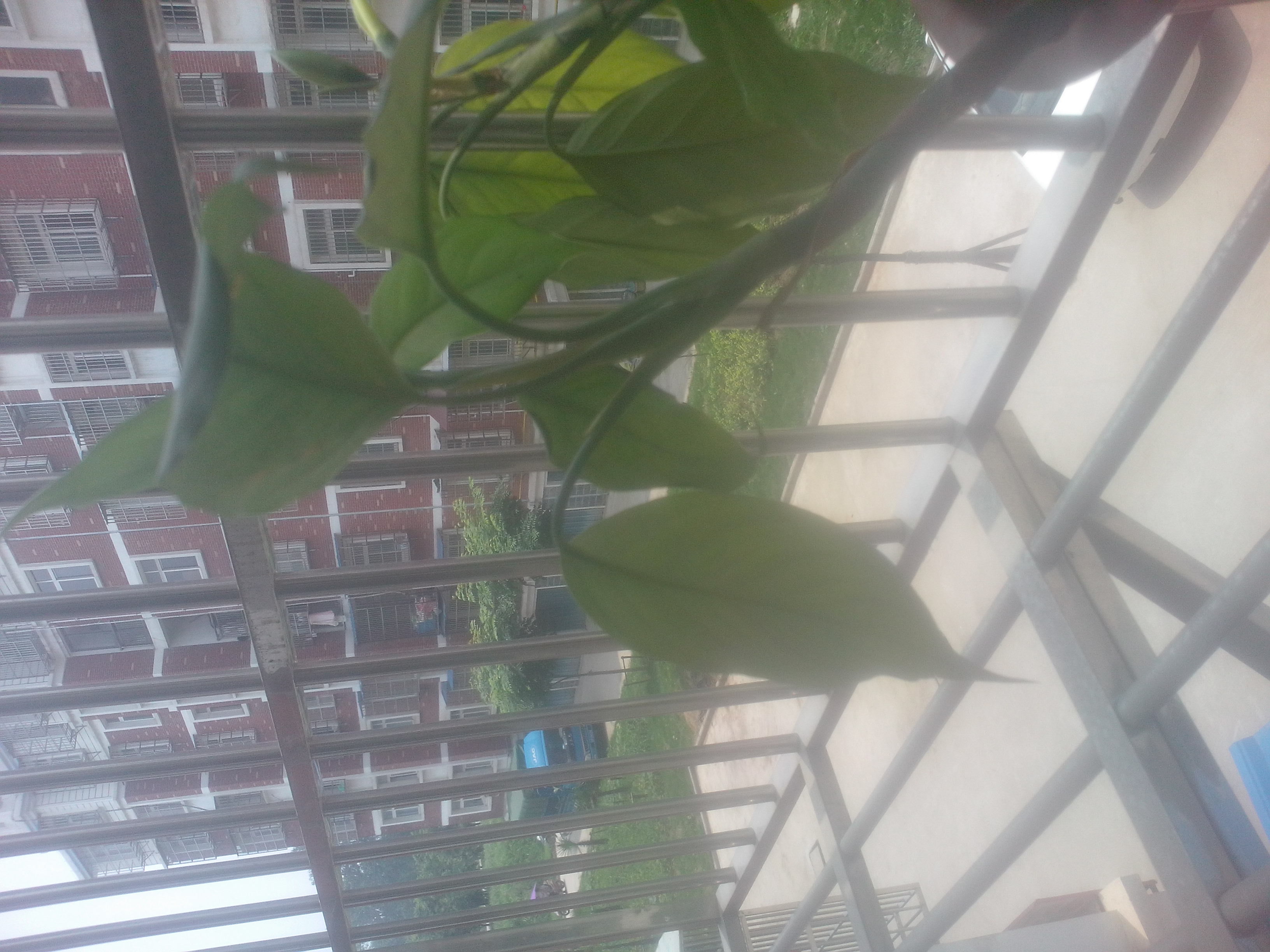 仙桃实验五小 新房2014年分的拆迁房，１４００元每平米