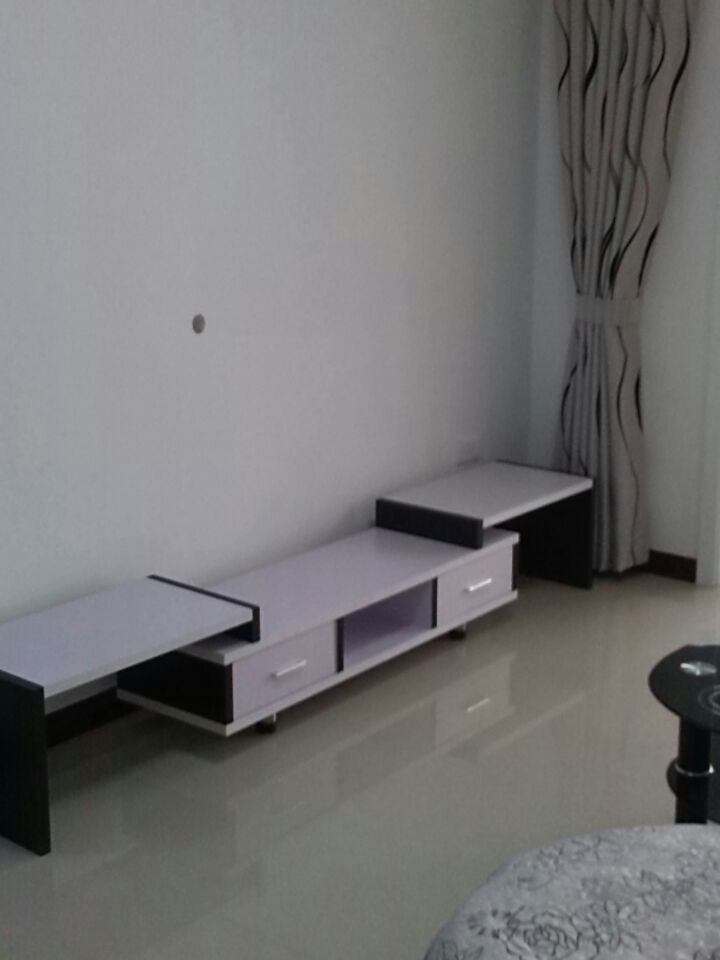 漫城林语精装房出租