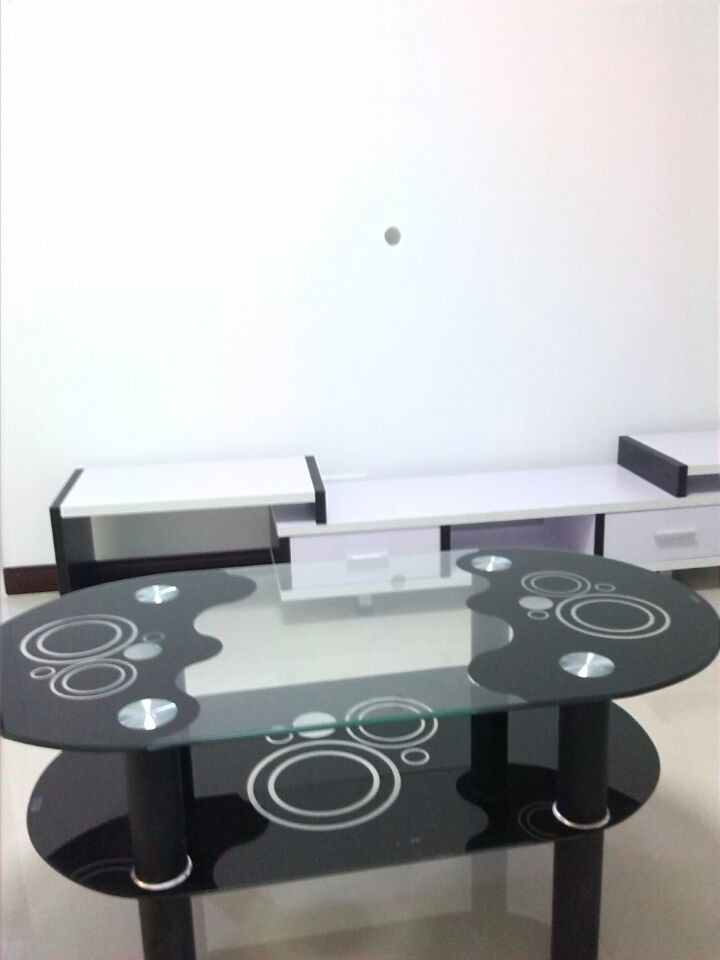 漫城林语精装房出租